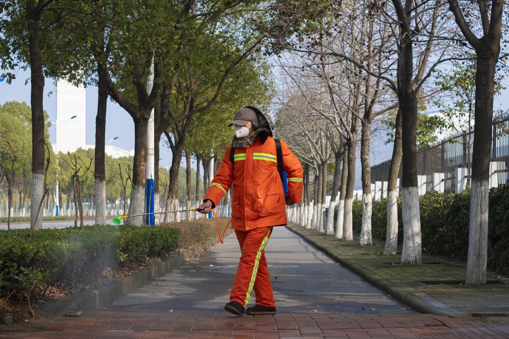 Bad timing: New virus poses threat to fragile world economy
