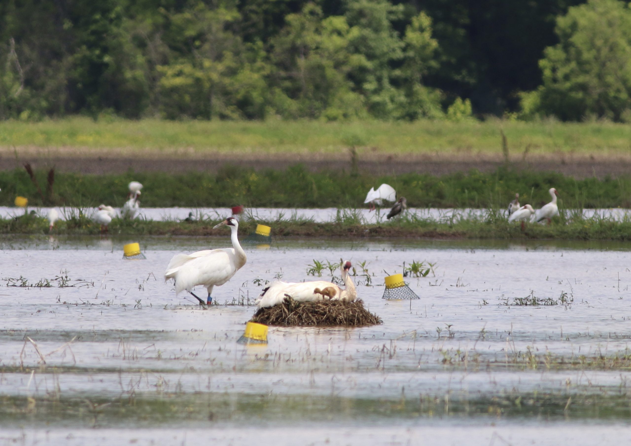 Storms Extend Louisiana Fisheries COVID-19 Aid Deadline