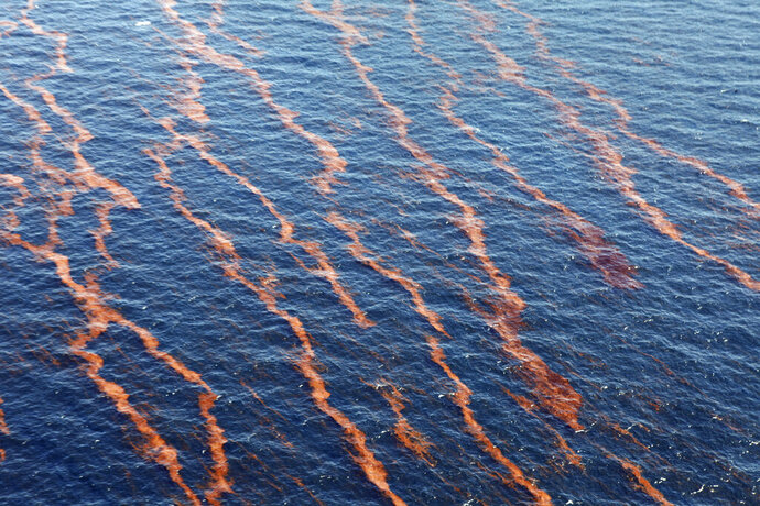Suit: Feds Ignore Risk Of Huge Spills To Endangered Species