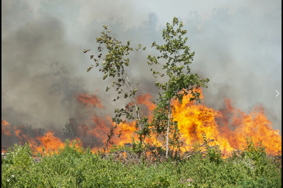 Entire Louisiana town under mandatory evacuation because of wildfire